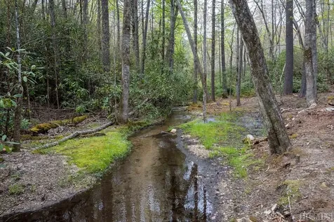 11 Brook Trout Trail Cashiers NC 28717