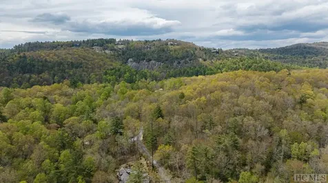 11 Brook Trout Trail Cashiers NC 28717
