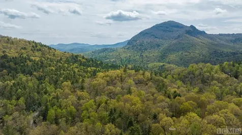 11 Brook Trout Trail Cashiers NC 28717