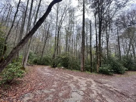 0 Bee Tree Glenville NC 28736