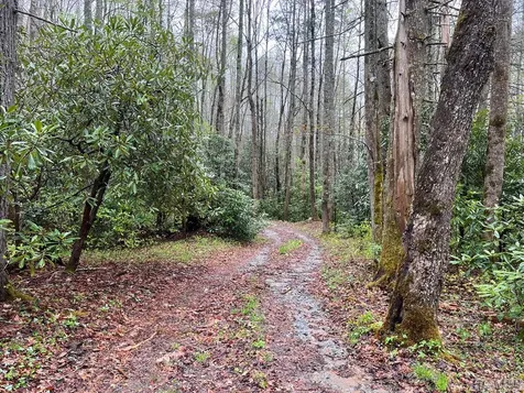 0 Bee Tree Glenville NC 28736