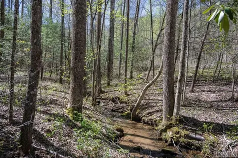 Lot 21 R Pilot Knob Road Glenville NC 28736