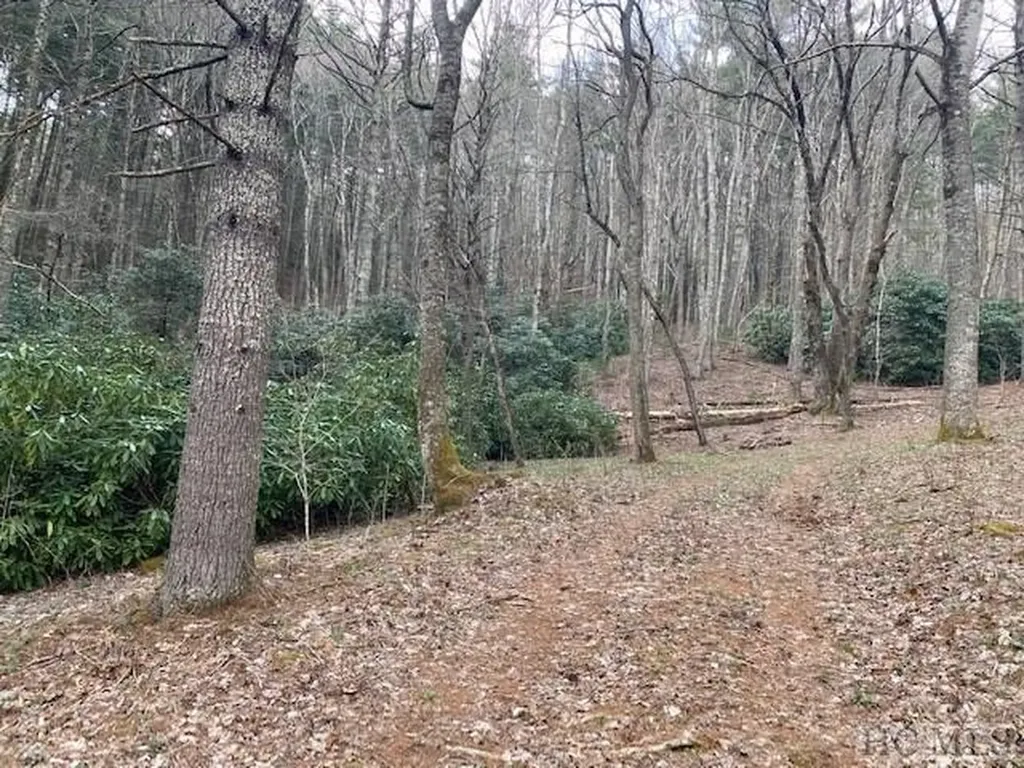 478 Windy Gap Road Cullowhee NC 28723