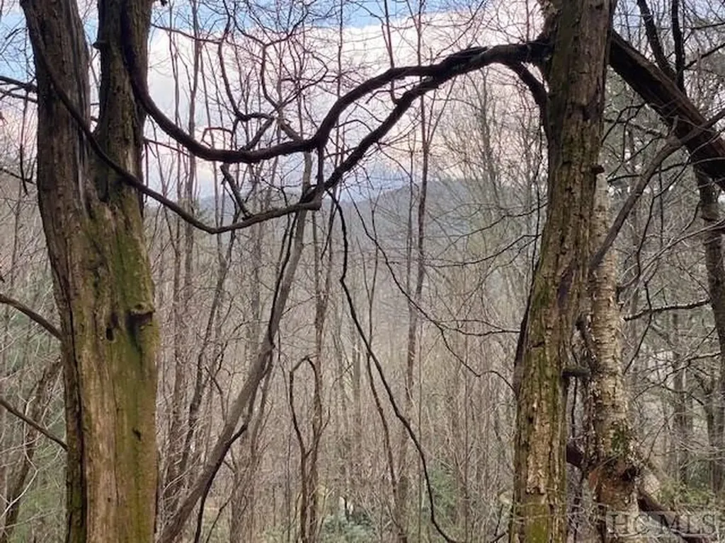 478 Windy Gap Road Cullowhee NC 28723