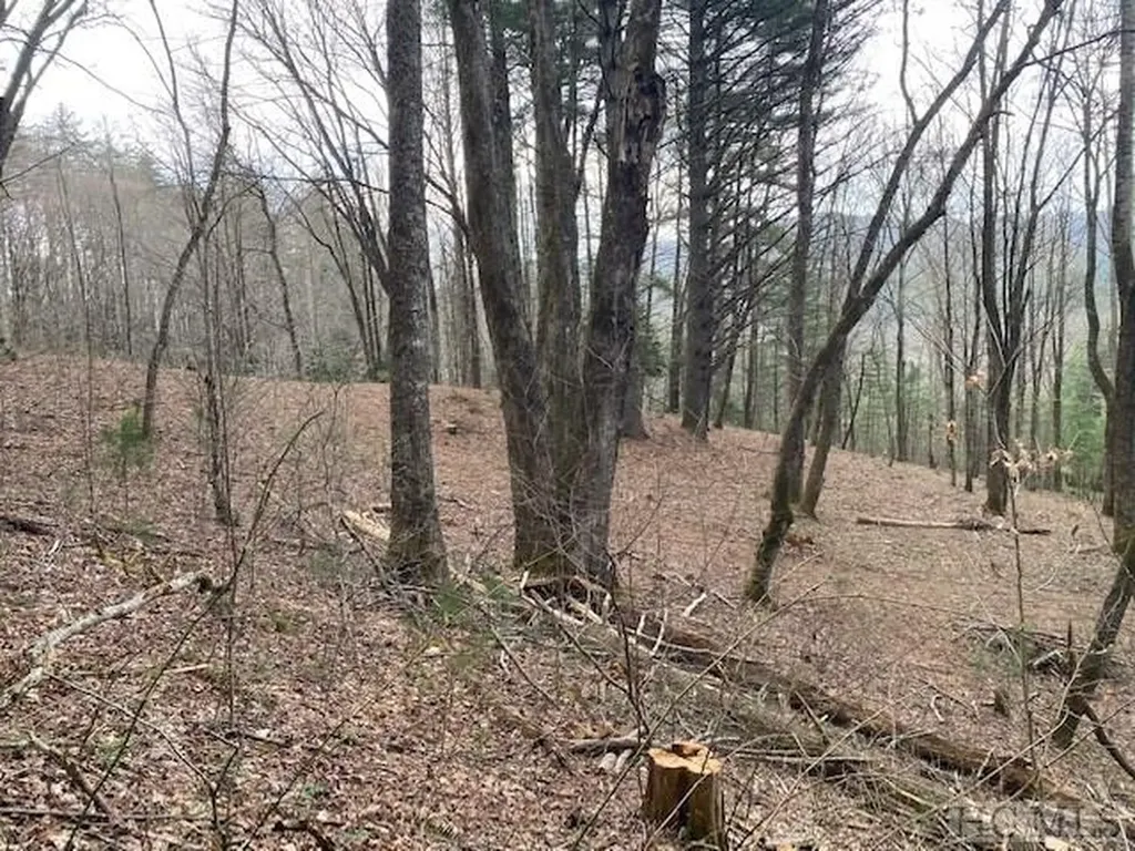 478 Windy Gap Road Cullowhee NC 28723