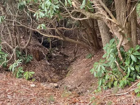 478 Windy Gap Road Cullowhee NC 28723