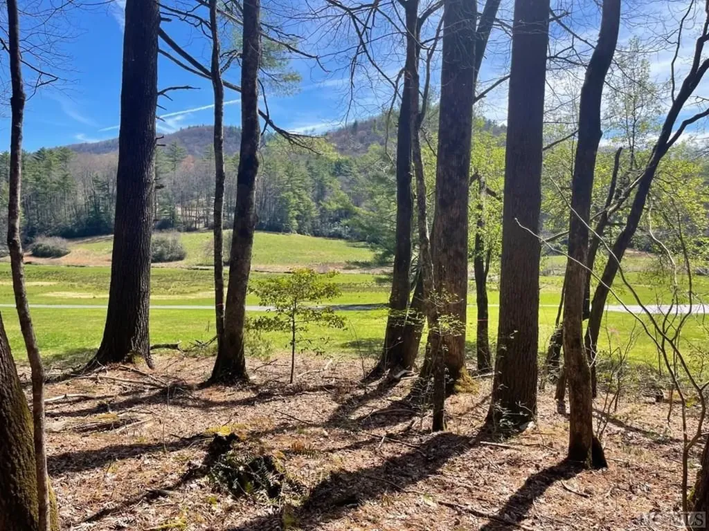 Lot Md-7 Silver Run Road Cashiers NC 28717