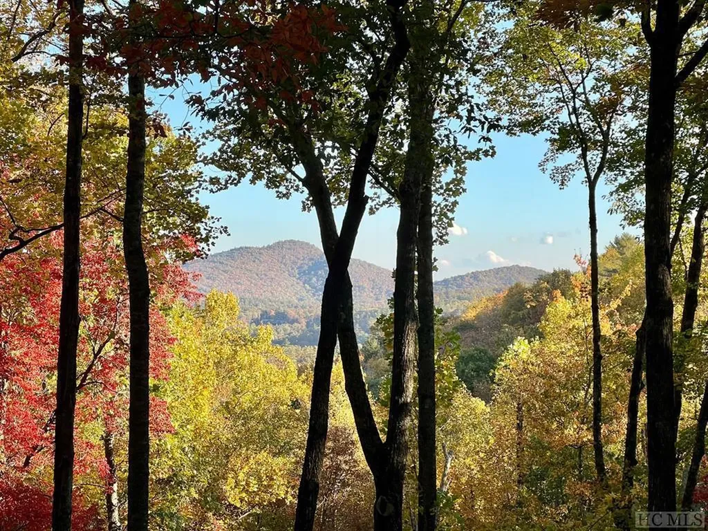 644 Tower Road Sapphire NC 28774