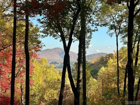 644 Tower Road Sapphire NC 28774