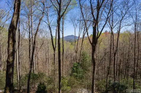 644 Tower Road Sapphire NC 28774