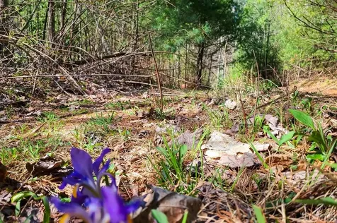 1880 Highway 107 S Cashiers NC 28717