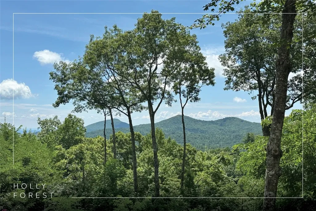 193 Birdnest Road Sapphire NC 28774