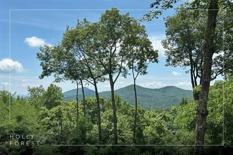 193 Birdnest Road Sapphire NC 28774