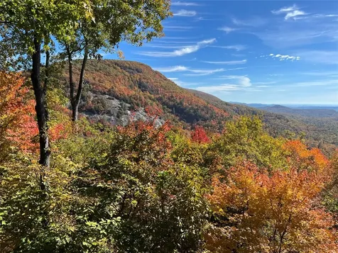 1848 Trays Island Road Sapphire NC 28774