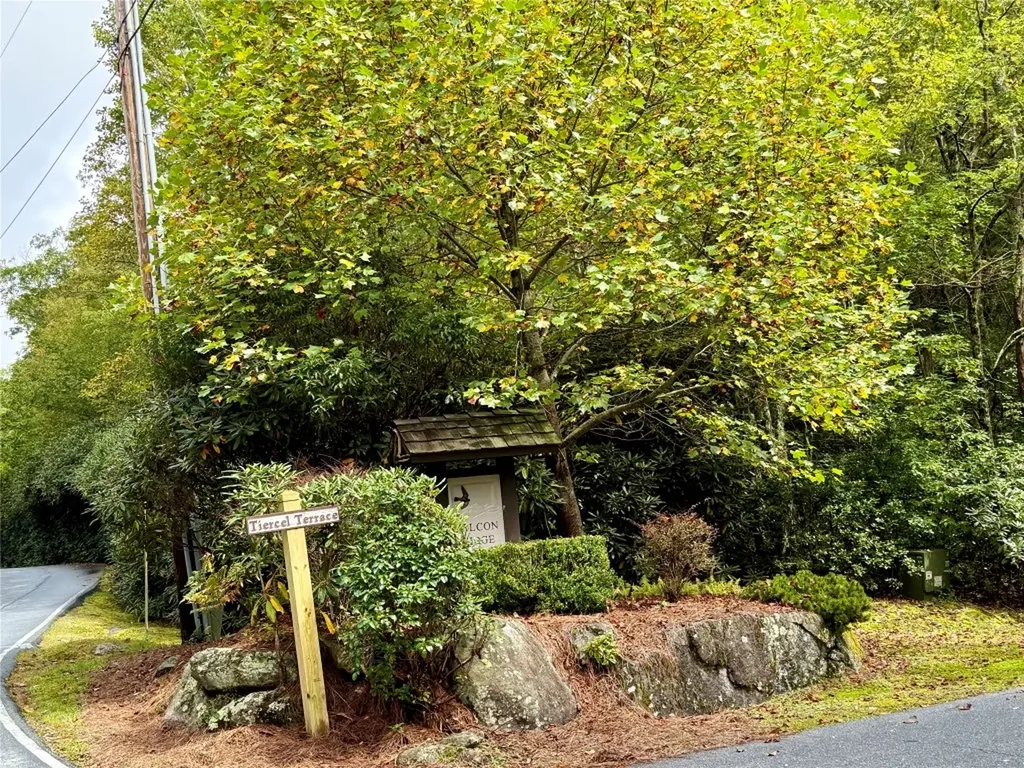 92 Tiercel Trail Sapphire NC 28774