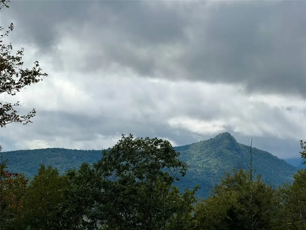 92 Tiercel Trail Sapphire NC 28774