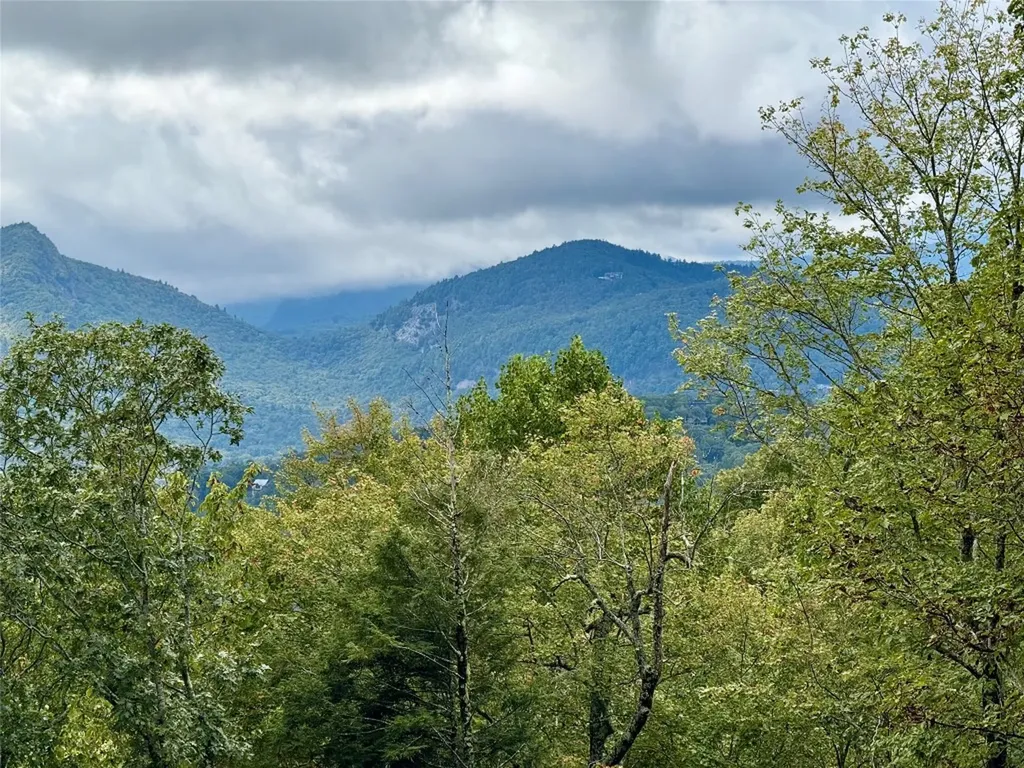 92 Tiercel Trail Sapphire NC 28774