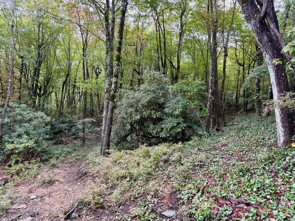 92 Tiercel Trail Sapphire NC 28774