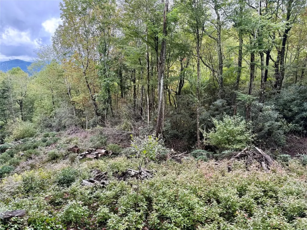 92 Tiercel Trail Sapphire NC 28774