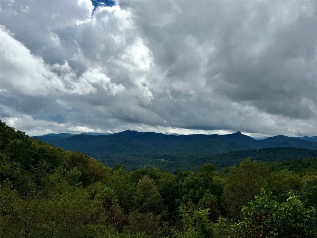 92 Tiercel Trail Sapphire NC 28774