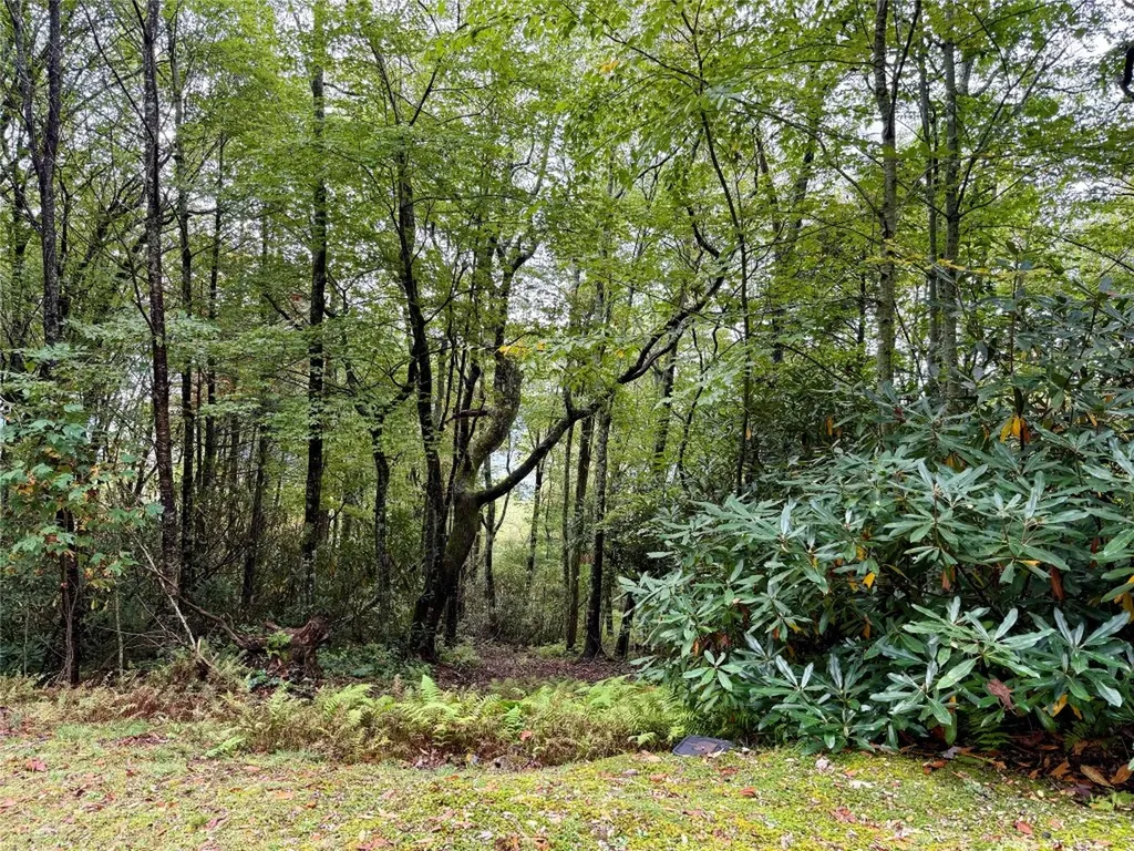 92 Tiercel Trail Sapphire NC 28774