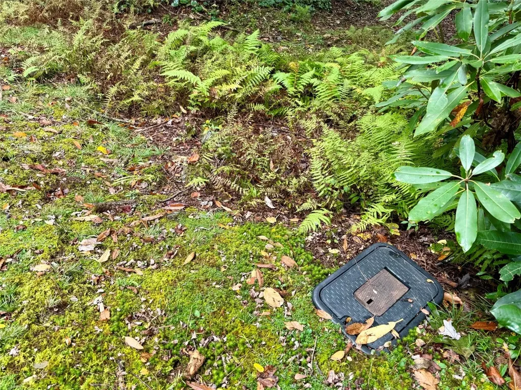 92 Tiercel Trail Sapphire NC 28774