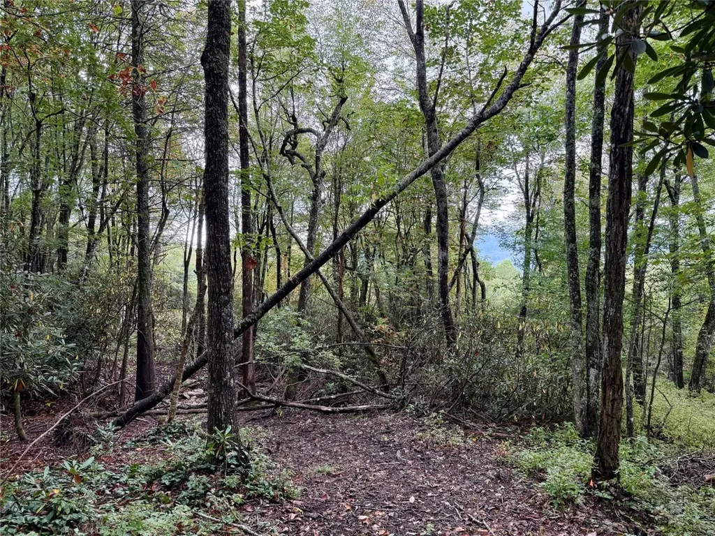 92 Tiercel Trail Sapphire NC 28774