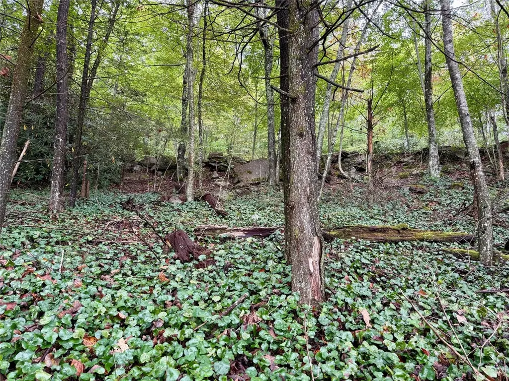 92 Tiercel Trail Sapphire NC 28774