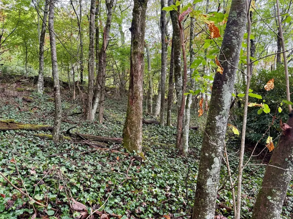 92 Tiercel Trail Sapphire NC 28774