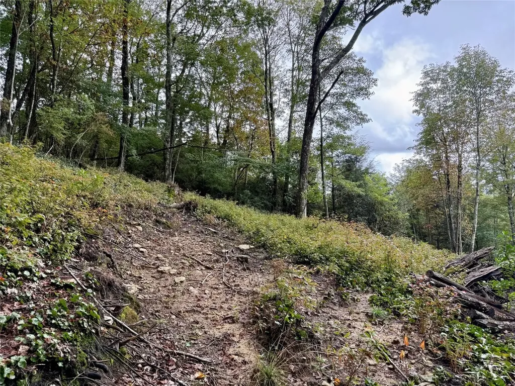 92 Tiercel Trail Sapphire NC 28774