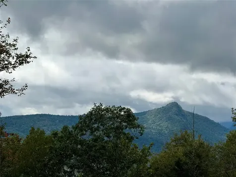 92 Tiercel Trail Sapphire NC 28774