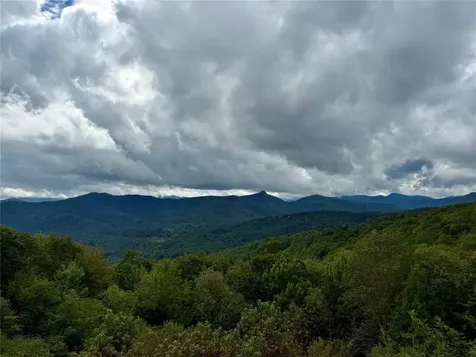 92 Tiercel Trail Sapphire NC 28774