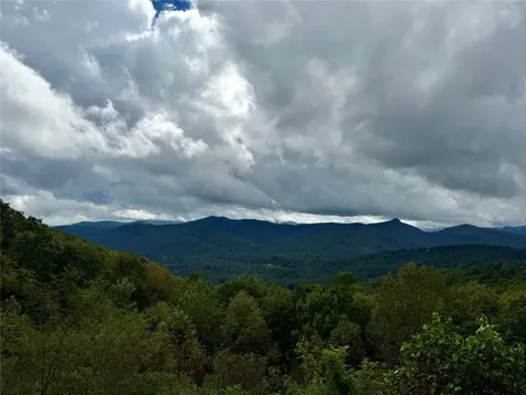 92 Tiercel Trail Sapphire NC 28774