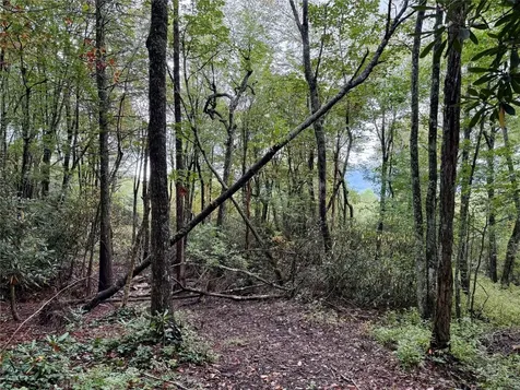 92 Tiercel Trail Sapphire NC 28774