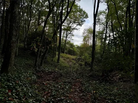 92 Tiercel Trail Sapphire NC 28774