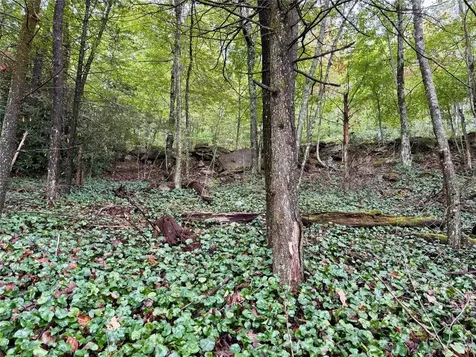 92 Tiercel Trail Sapphire NC 28774