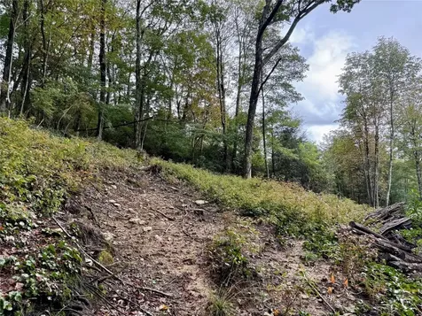 92 Tiercel Trail Sapphire NC 28774