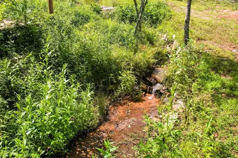 4092 Rose Creek Road Franklin NC 28734
