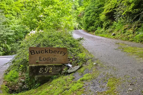 892 Buckberry Sapphire NC 28774