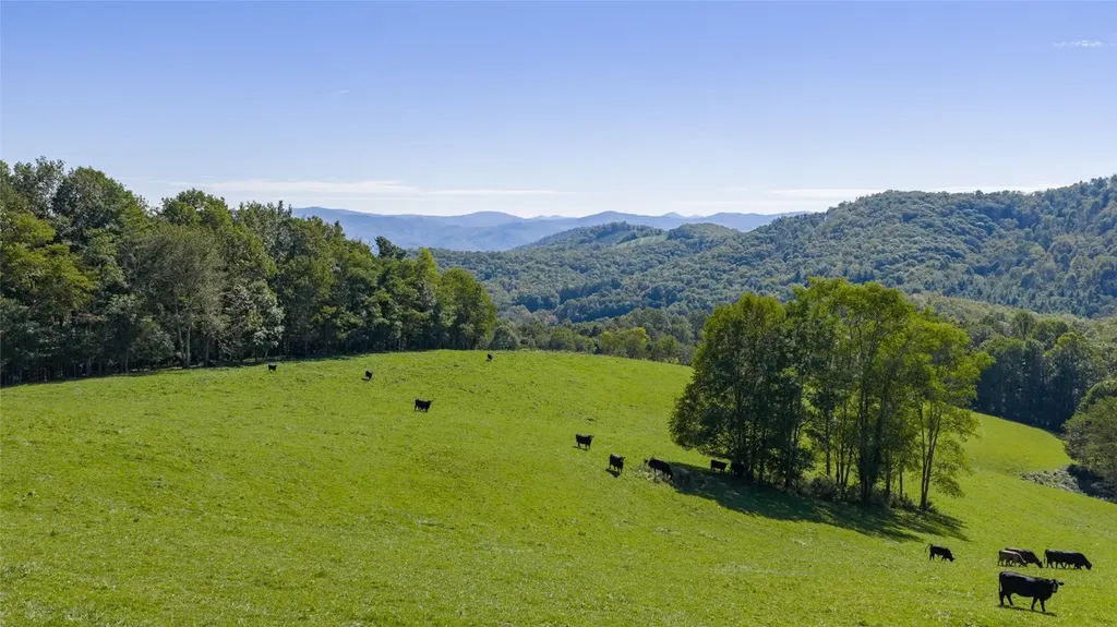 2787 Charleys Creek Road Tuckasegee NC 28783