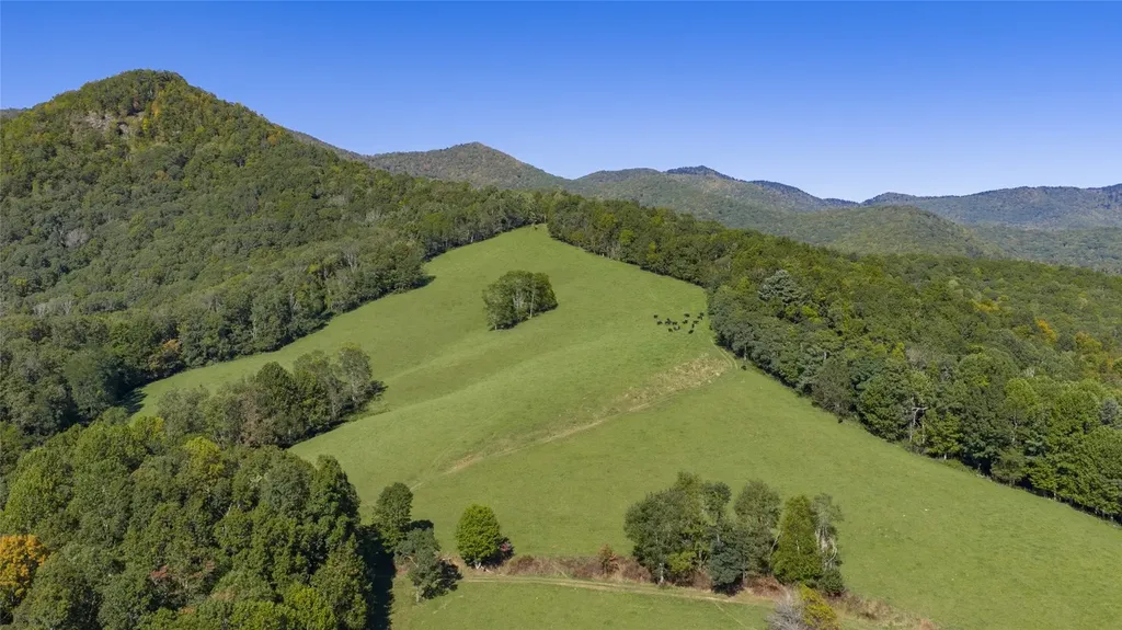 2787 Charleys Creek Road Tuckasegee NC 28783