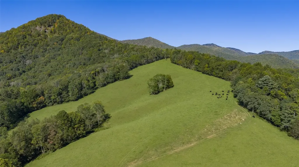 2787 Charleys Creek Road Tuckasegee NC 28783