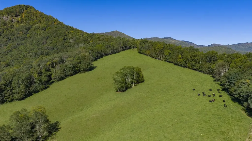 2787 Charleys Creek Road Tuckasegee NC 28783