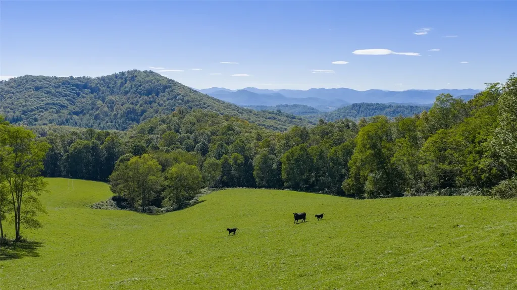 2787 Charleys Creek Road Tuckasegee NC 28783