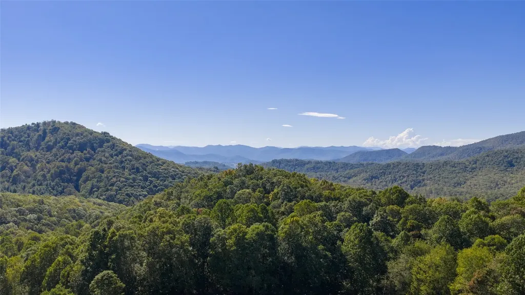 2787 Charleys Creek Road Tuckasegee NC 28783