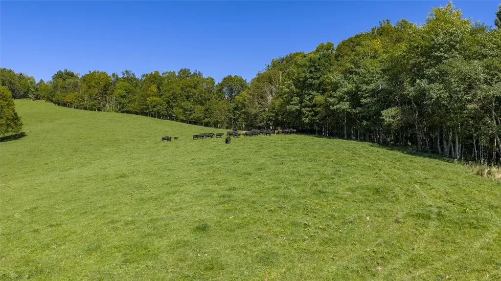 2787 Charleys Creek Road Tuckasegee NC 28783