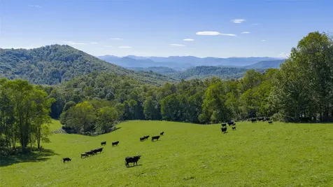 2787 Charleys Creek Road Tuckasegee NC 28783