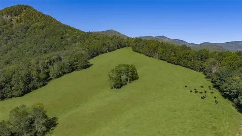 2787 Charleys Creek Road Tuckasegee NC 28783