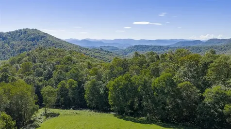 2787 Charleys Creek Road Tuckasegee NC 28783