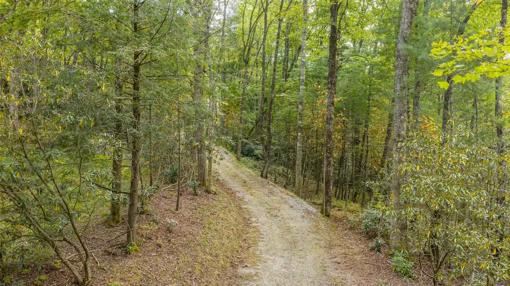 FE-3 Triple Farm Road Cashiers NC 28717